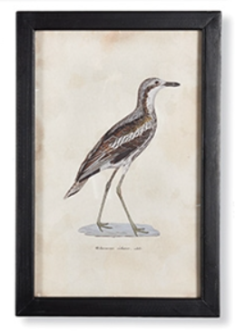 Tableau Imprimé - Galerie d'oiseaux