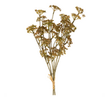 Bouquet d'herbes des prés