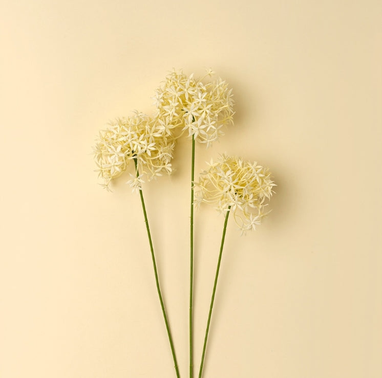 Allium Floral Branches – Cream