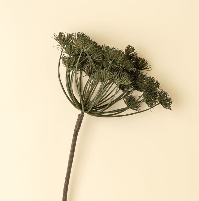 Wild Angelica Branches – Green