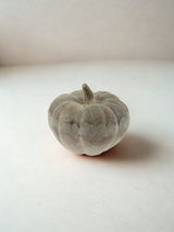Citrouille - Aluminium