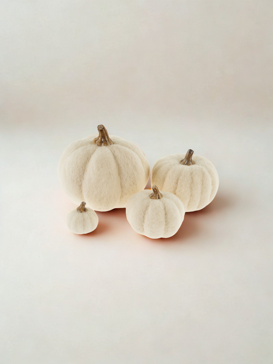 Felted wool pumpkin - White