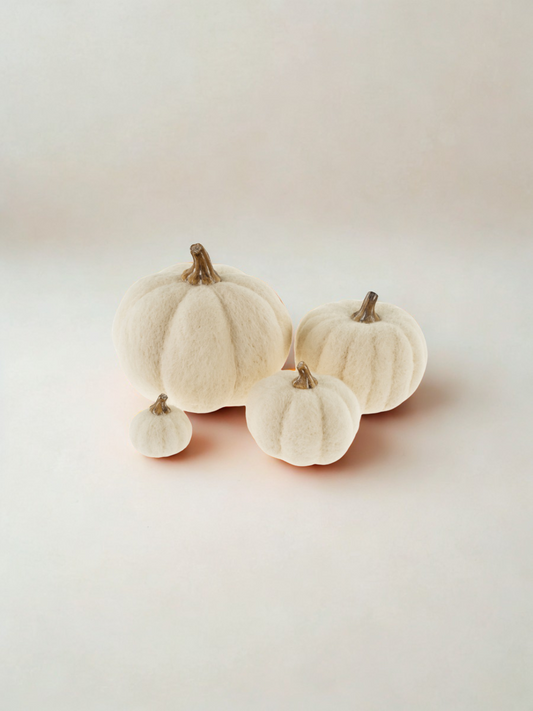 Felted wool pumpkin - White