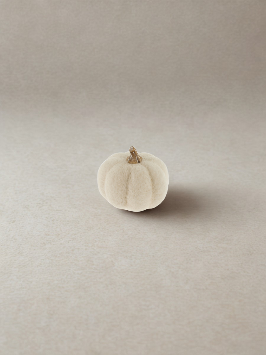 Felted wool pumpkin - White