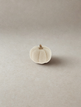 Pumpkin - White