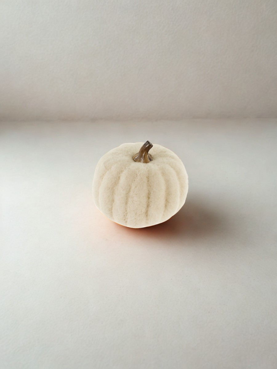 Felted wool pumpkin - White