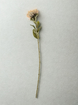 Tige Florale Pin Cushion