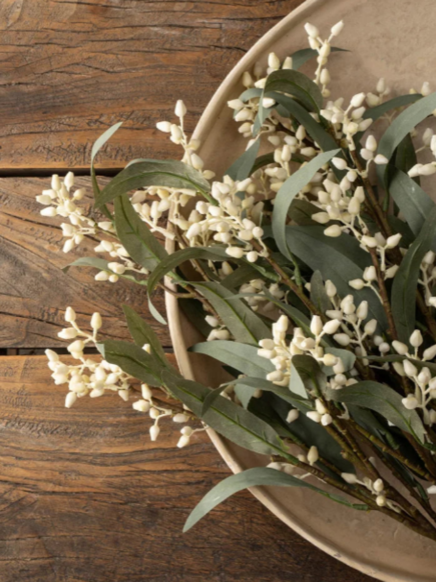 Branche d'eucalyptus en fleurs