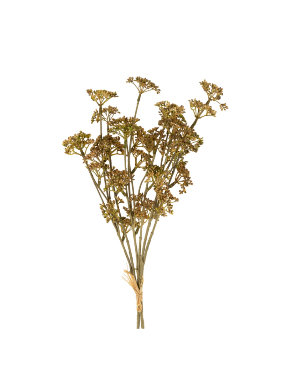 Bouquet d'herbes des prés