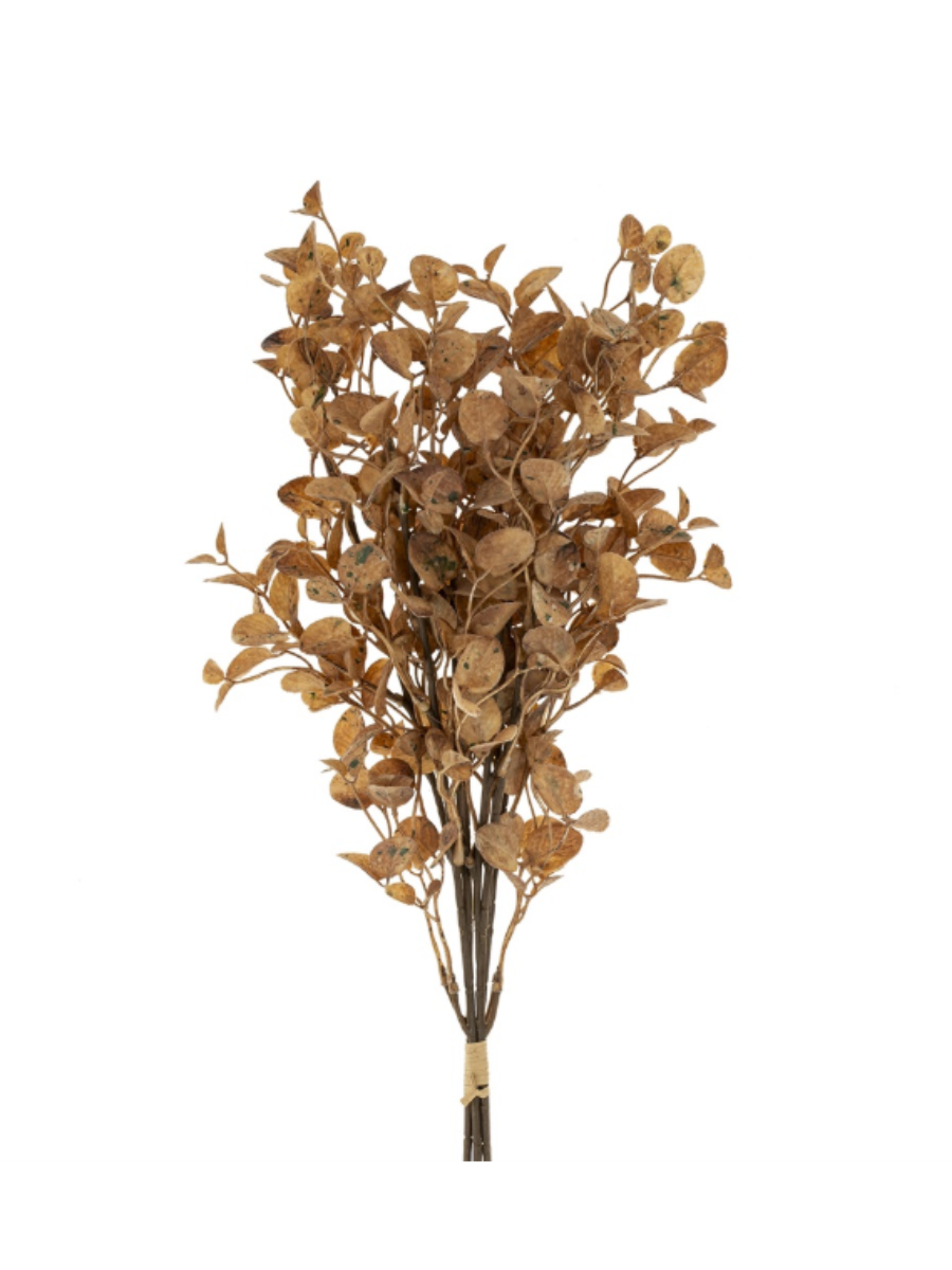 Eucalyptus Bouquet - Brown