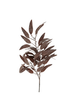 Branche d'eucalyptus - Mauve