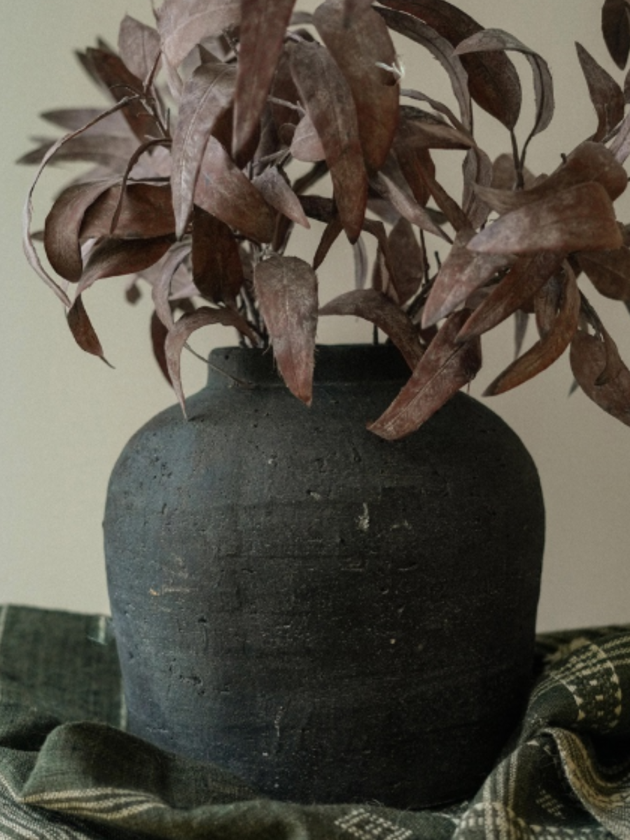 Eucalyptus branch - Mallow