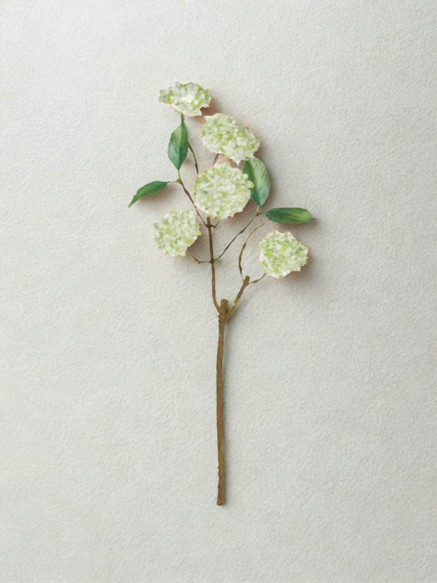 Snowball Viburnum Branch - White