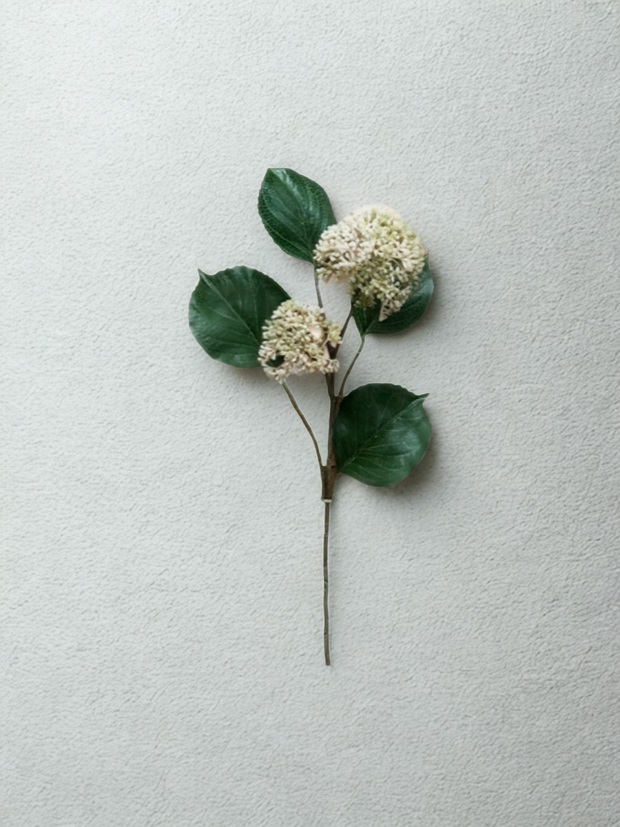 Branche de Patrinia Blanche – 28"