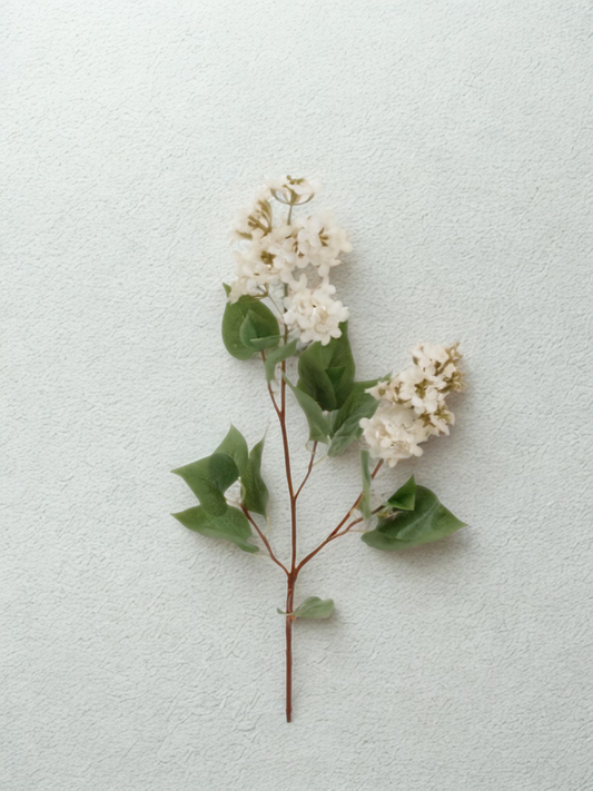 Stem of white lilacs