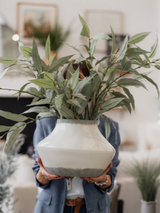 Branche d’eucalyptus décorative