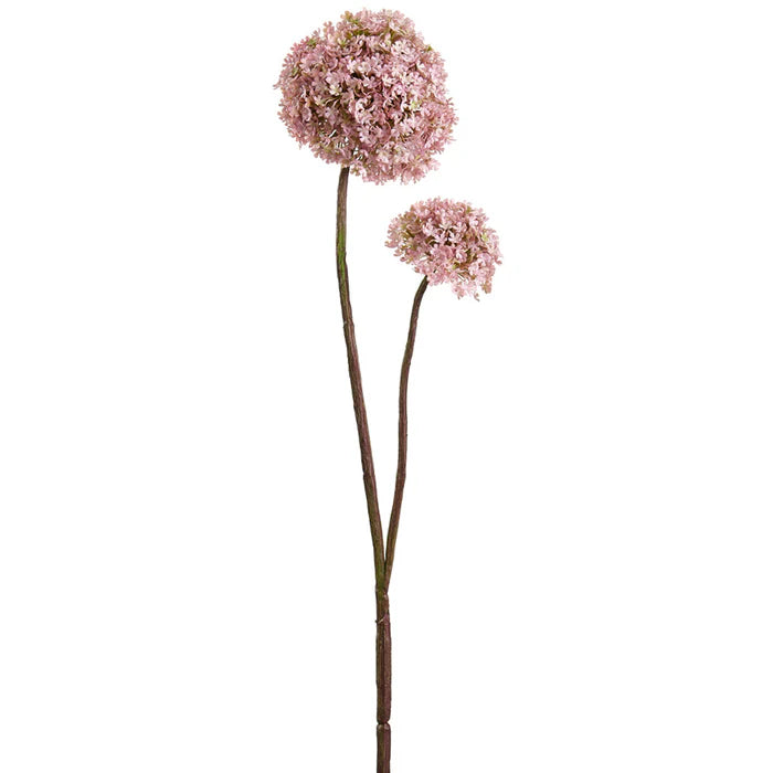 Fleurs Snowball - Rose