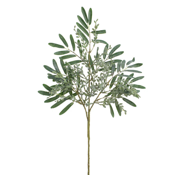 Feuillage Sedum - Vert gris