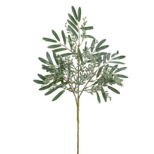 Feuillage Sedum - Vert gris