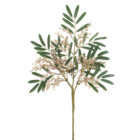 Feuillage Sedum - Rose gris