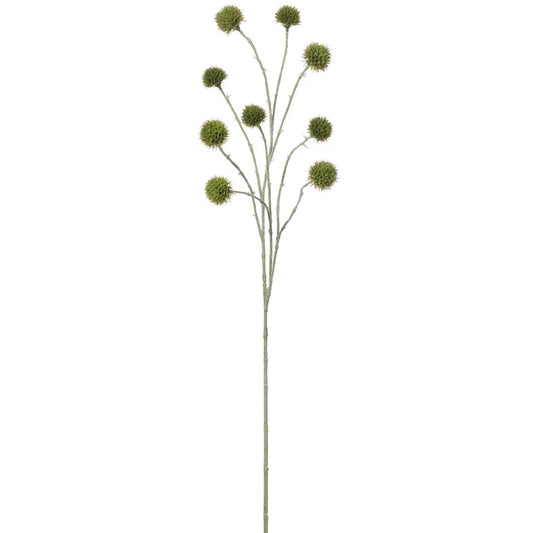 Feuillage pompon - Vert