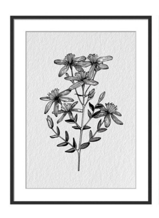 Field Flowers Frame