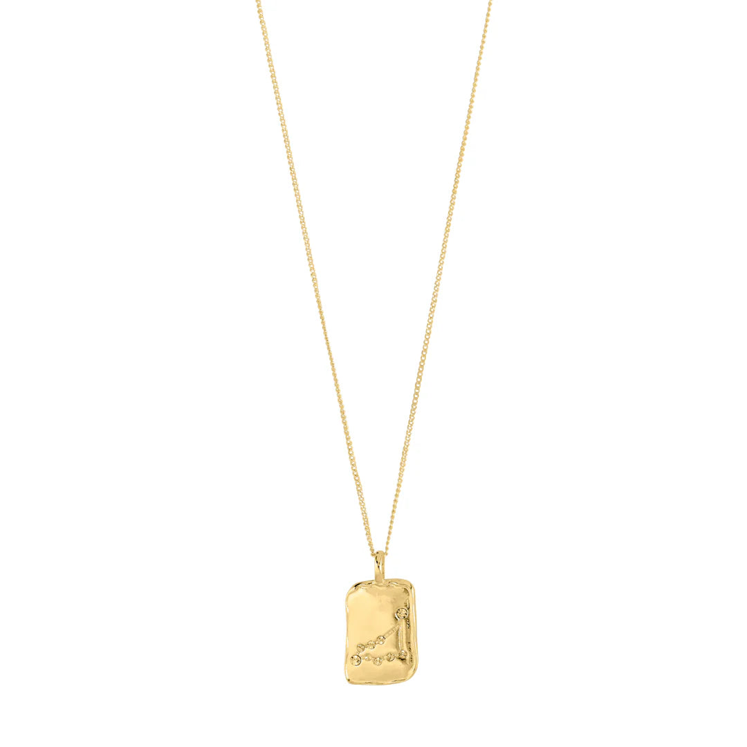 CAPRICORN Zodiac Necklace - Gold Plated