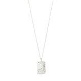 CAPRICORN Collier Zodiaque - Plaqué Argent