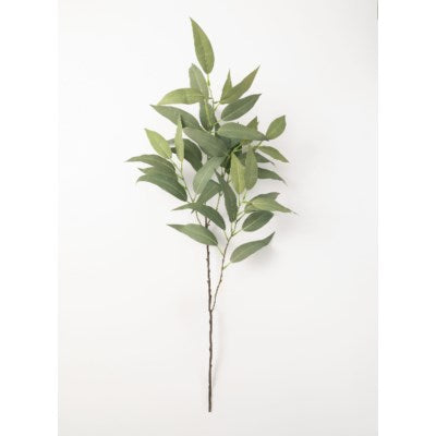 Branche d’eucalyptus décorative