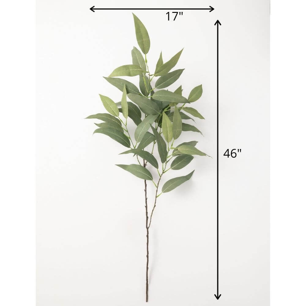 Branche d’eucalyptus décorative
