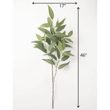 Branche d’eucalyptus décorative