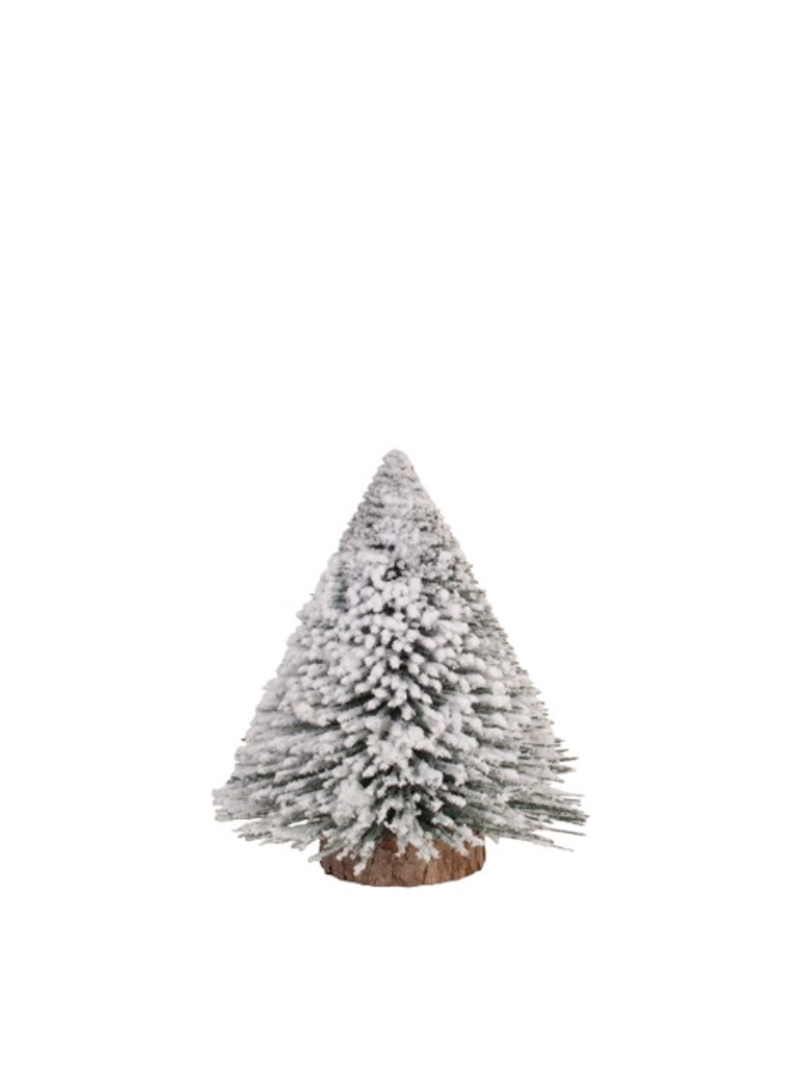 Sapin givré vert