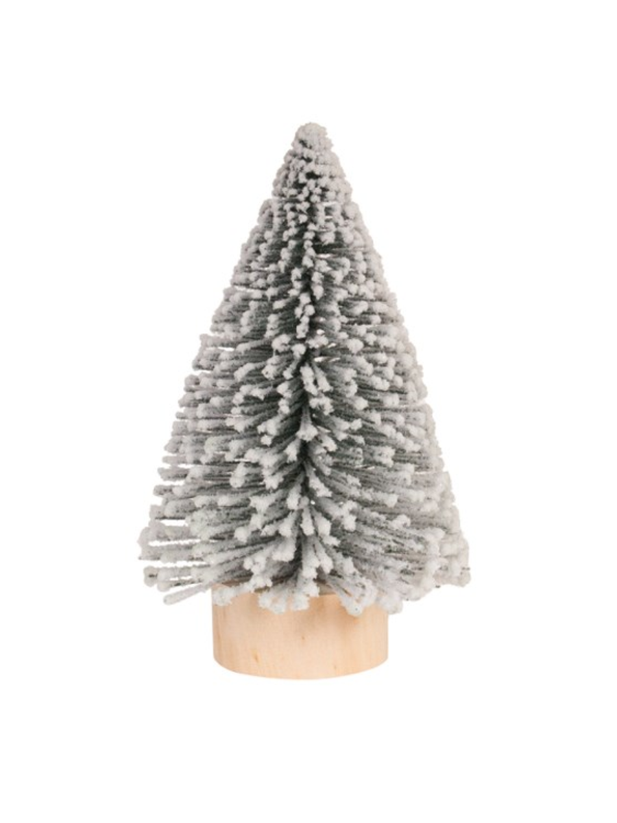 Sapin givré vert