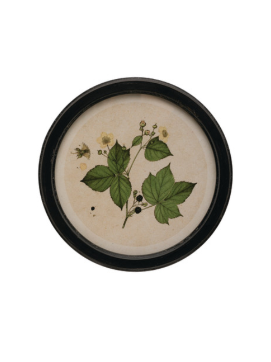 Décor mural rond avec cadre avec motifs botaniques