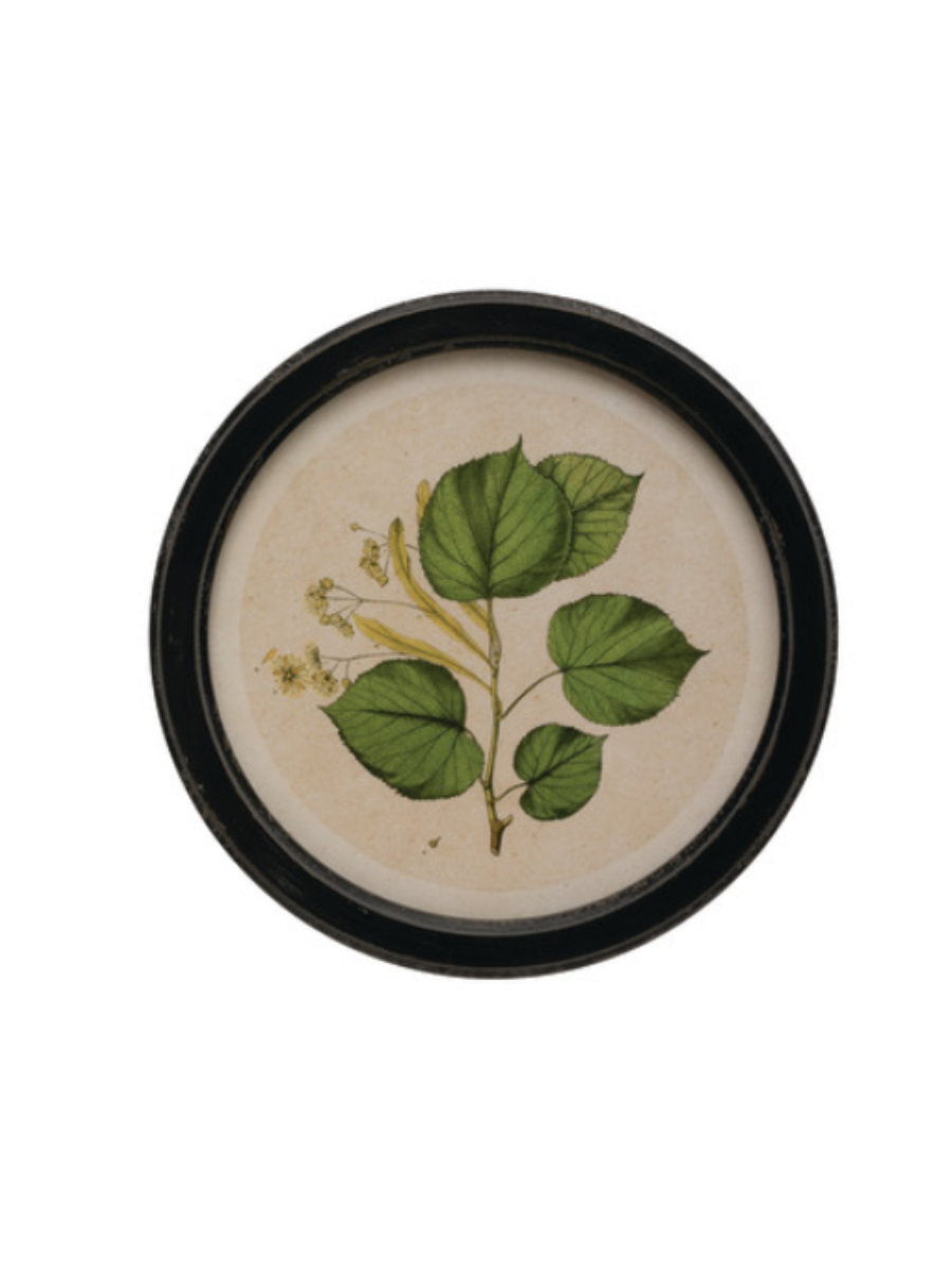 Décor mural rond avec cadre avec motifs botaniques