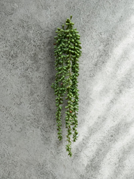 Hanging Stem – Burgundy and Green