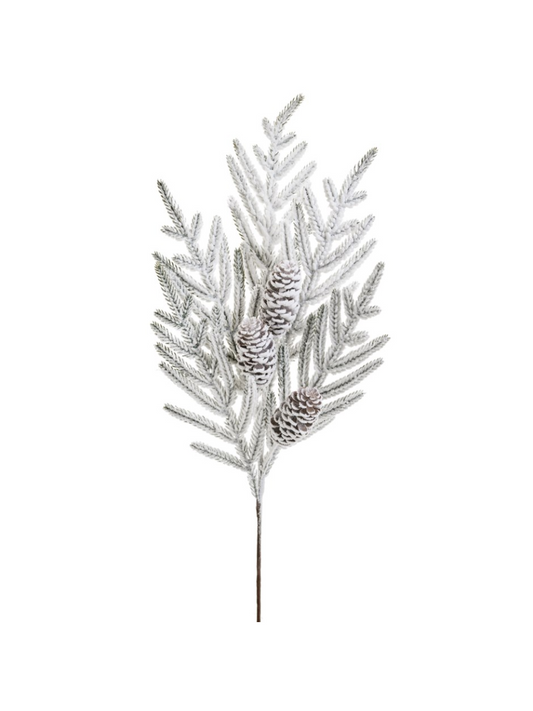 Branche de pin enneigée – Blanc
