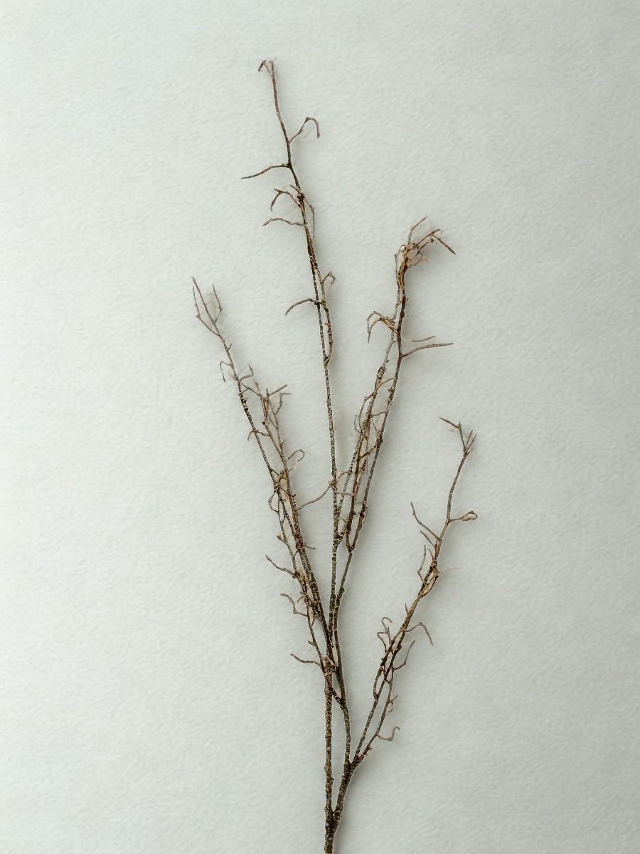 Branche décorative en brindilles – 42"