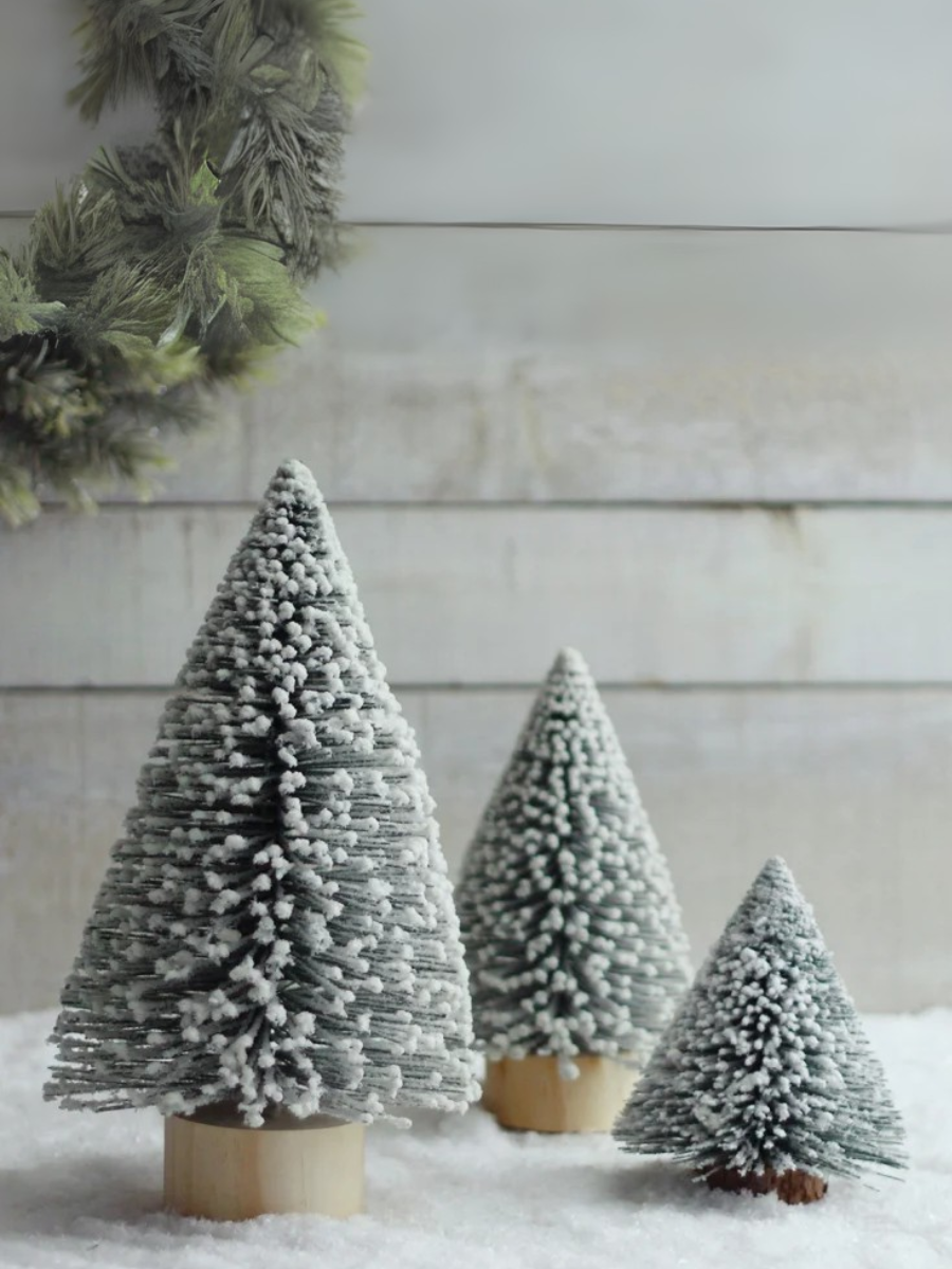 Sapin givré vert