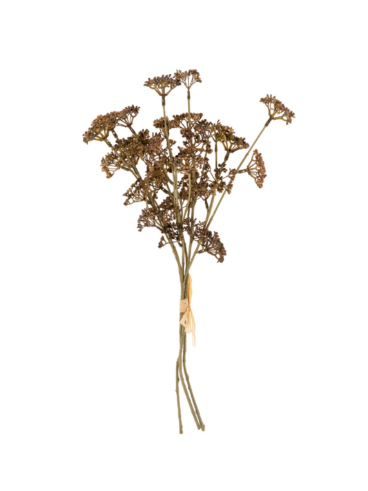 Bouquet of meadow herbs - brown