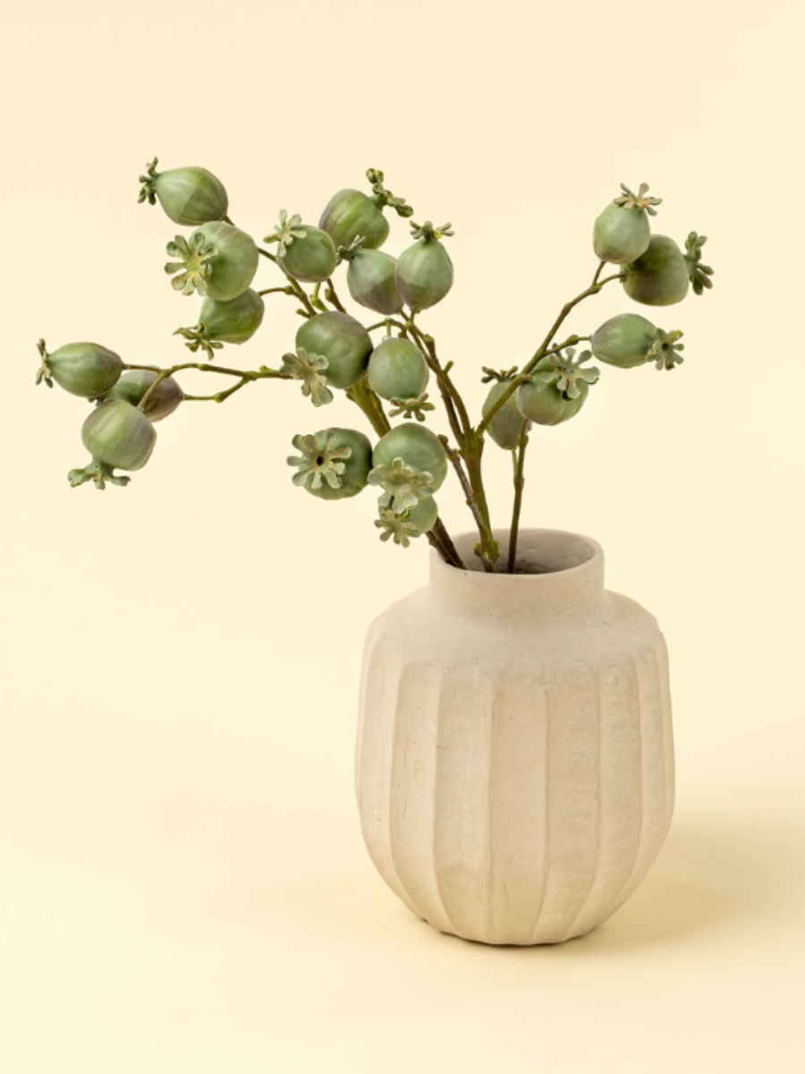 Poppy Pod Branches