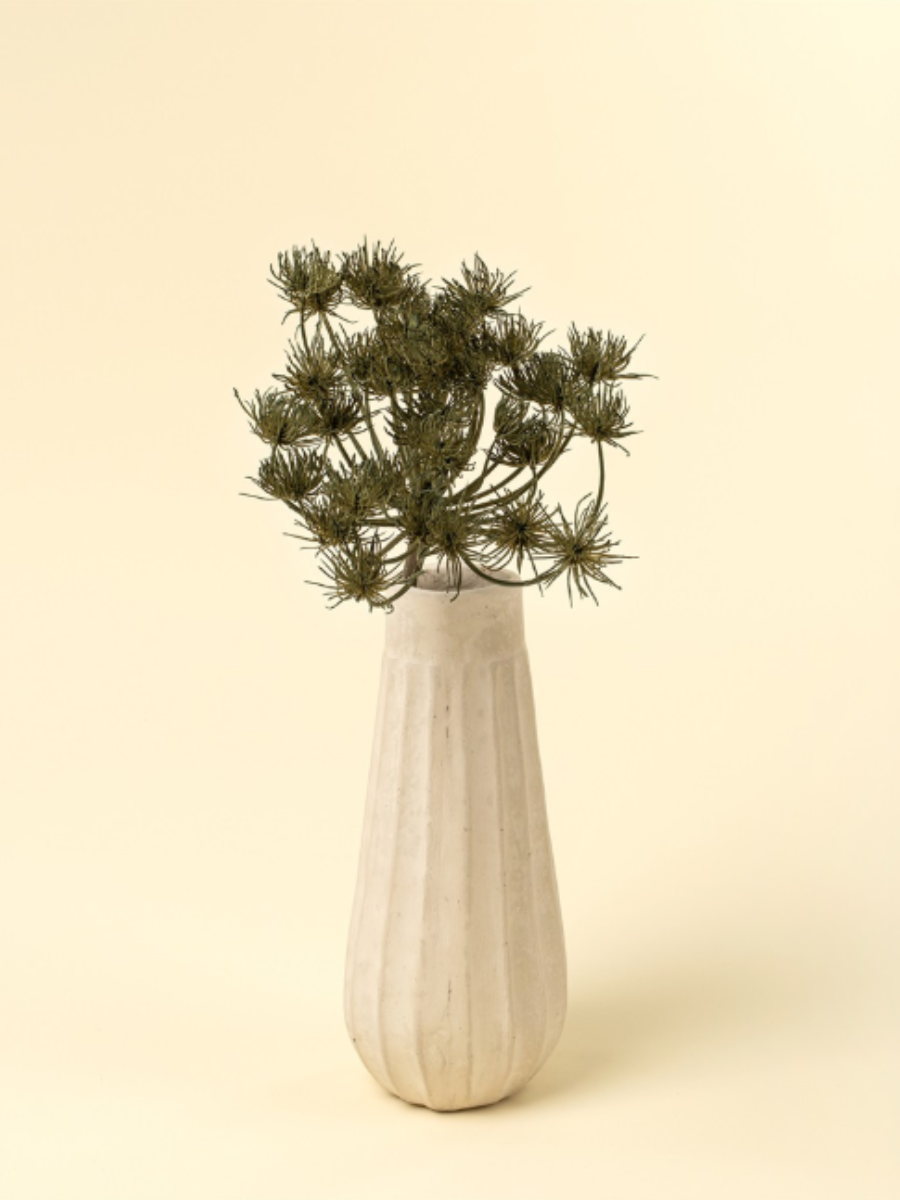 Wild Angelica Branches – Green