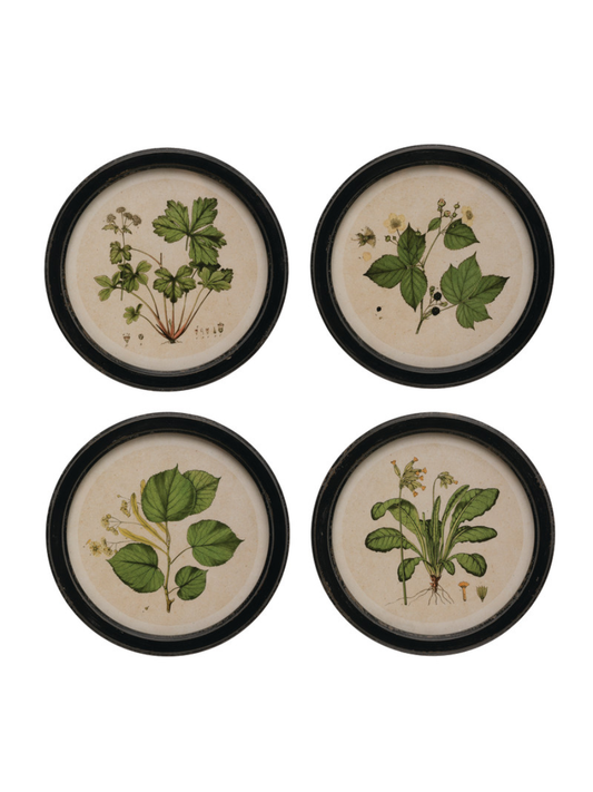 Décor mural rond avec cadre avec motifs botaniques