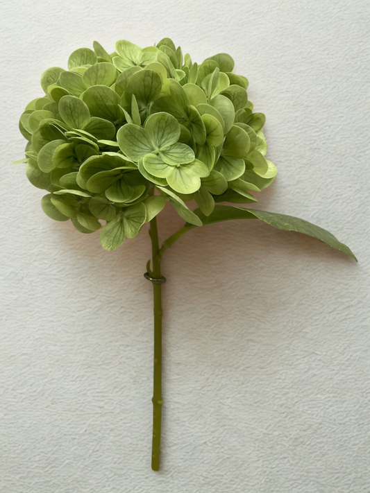 Natural effect green hydrangea stem