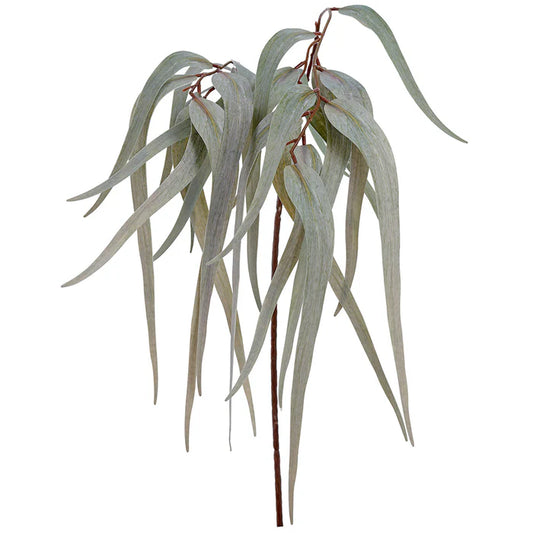 Feuillage Eucalyptus - Vert gris