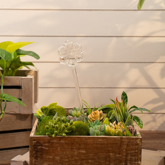 Globe d'Arrosage de Plantes Aria - Fleur