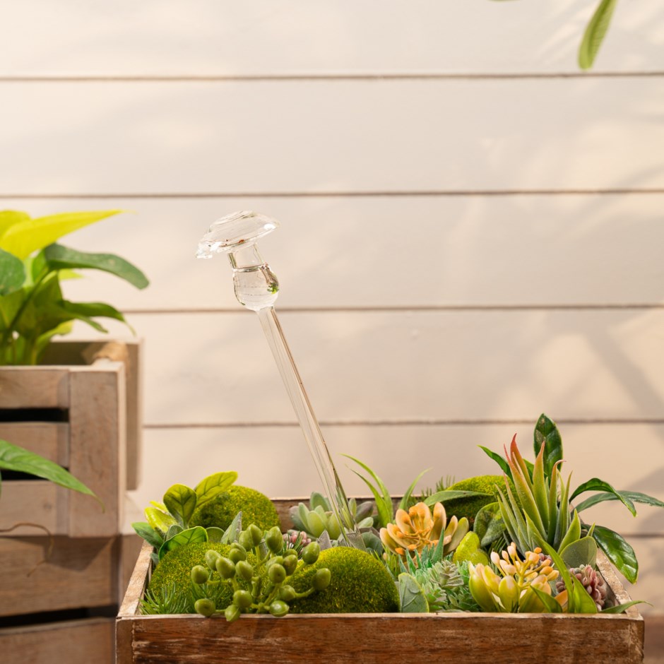 Aria Plant Watering Globe - Mushroom