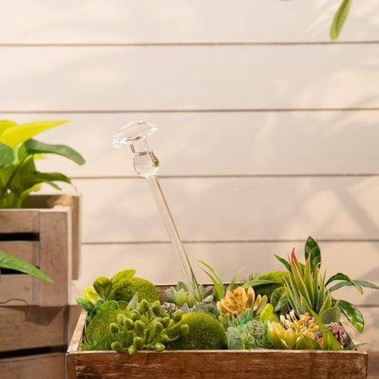 Globe d'Arrosage de Plantes Aria - Champignon