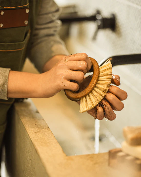 Vegetable Brush - The Beautiful Excuse