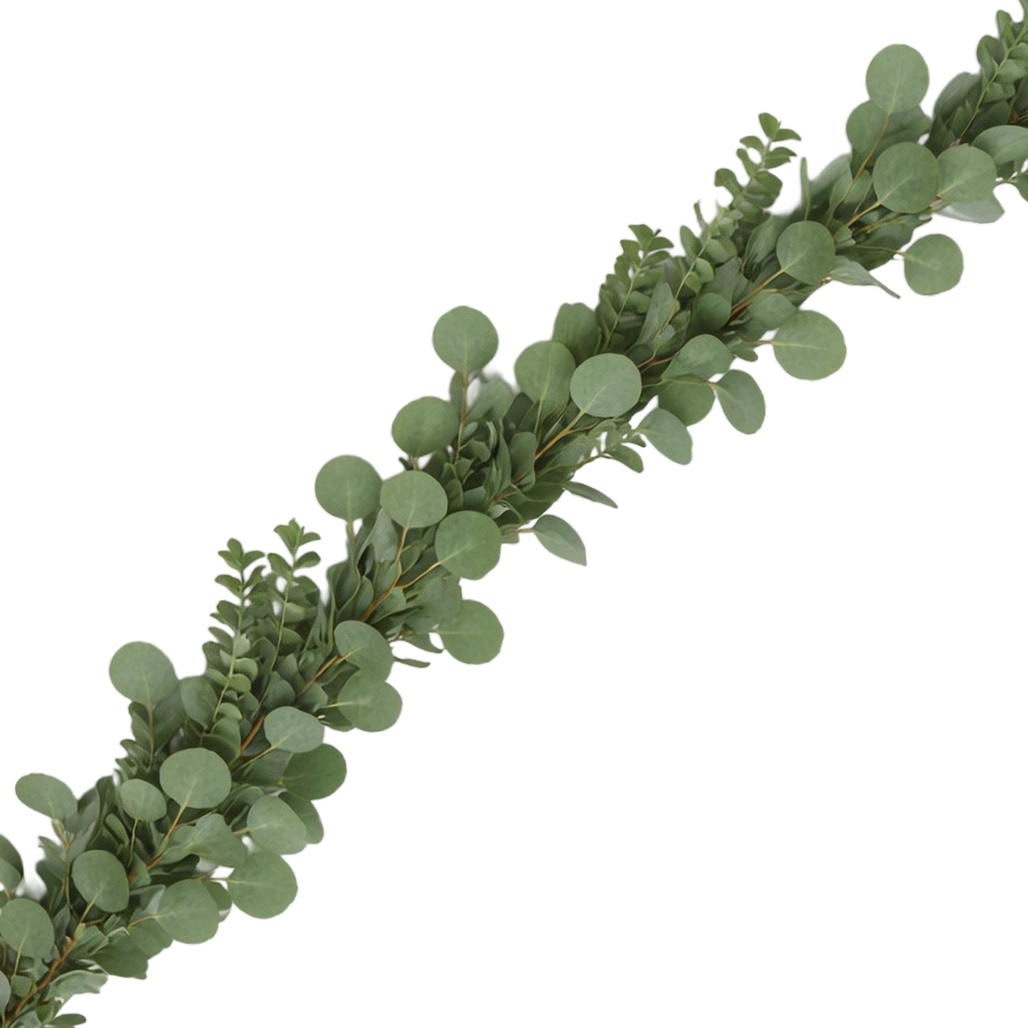 GUIRLANDE DE FEUILLES D'EUCALYPTUS MÉLANGÉES 70,5 po VERTES